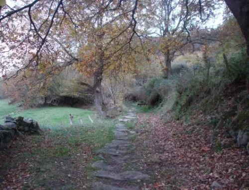Ruta de las ruinas romanas en Cantabria