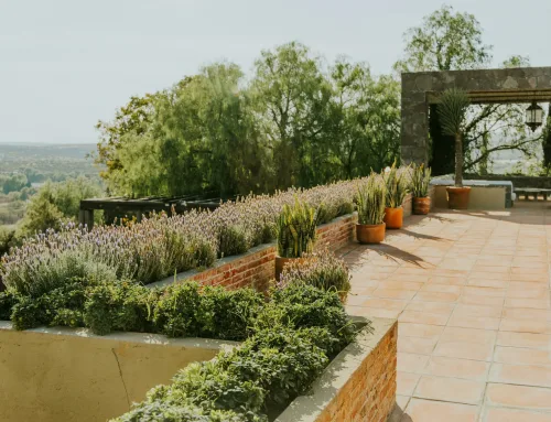 Impermeabilización de terrazas en Guadalajara: guía completa para evitar filtraciones