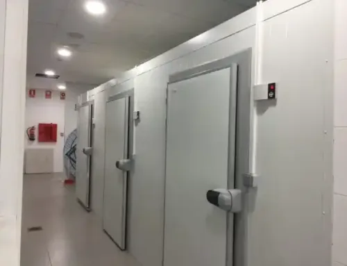 Reparación de cámaras frigoríficas en Valencia después de una avería recurrente