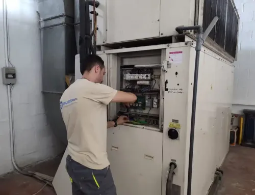 Frío industrial para supermercados en Valencia: productos frescos, lácteos y congelados