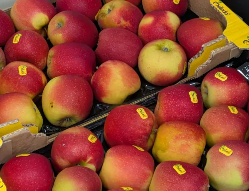 El restaurante que necesitaba un distribuidor de fruta en Santander cercano y flexible